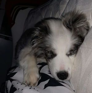 Meet your Posher, Makayla